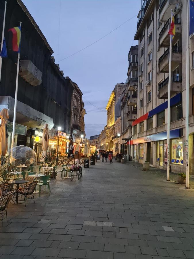 Color Ap Calea Victoriei 12C Apartment Bucharest Luaran gambar